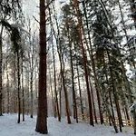Oleandria Z Kominkiem Biskupiec (Olsztyn)