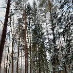 Hébergement de vacances Oleandria Z Kominkiem Biskupiec (Olsztyn)
