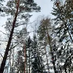Oleandria Z Kominkiem