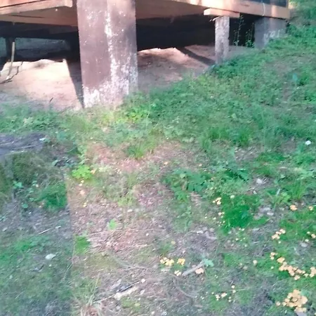 Casa de Férias Oleandria Z Kominkiem Biskupiec (Olsztyn)