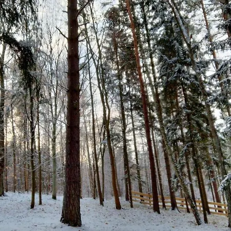 Oleandria Z Kominkiem Biskupiec (Olsztyn)