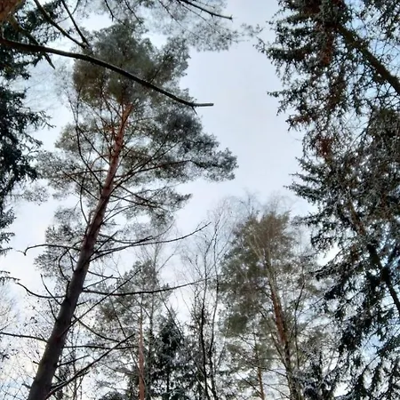 Vakantiehuis Oleandria Z Kominkiem *