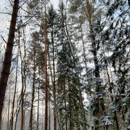 Vakantiehuis Oleandria Z Kominkiem Biskupiec (Olsztyn)