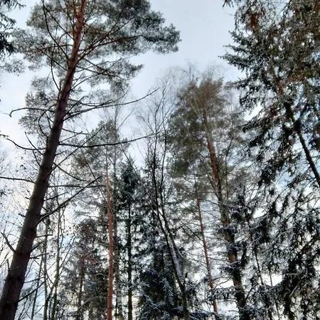 Oleandria Z Kominkiem