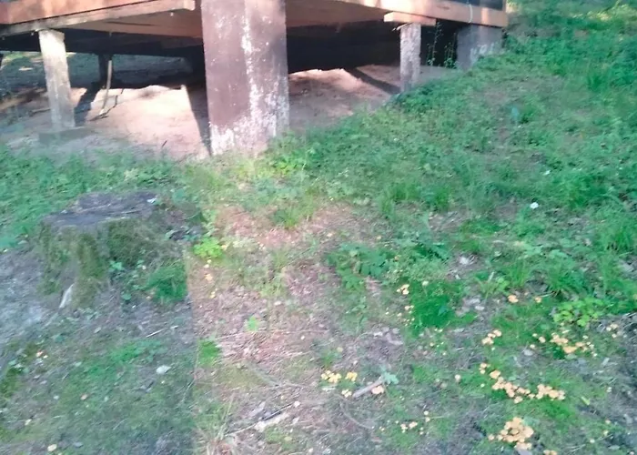 Holiday home Oleandria Z Kominkiem Biskupiec (Olsztyn)