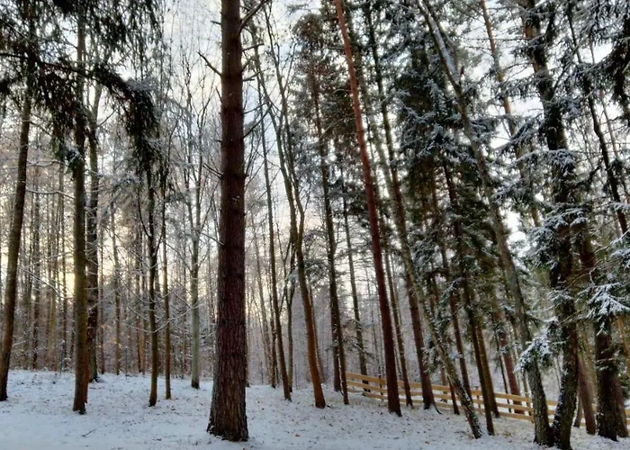 Oleandria Z Kominkiem Biskupiec (Olsztyn)
