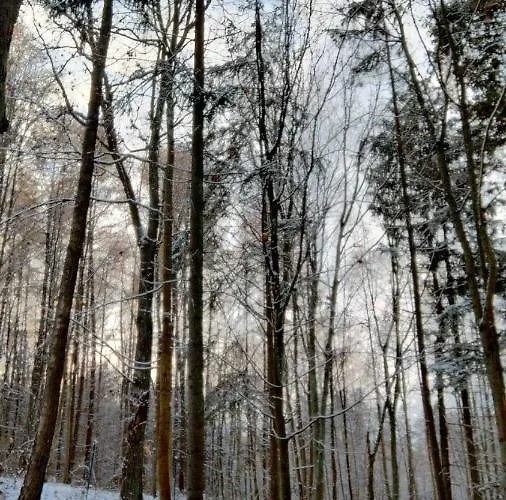 Oleandria Z Kominkiem *